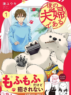 然後成爲了夫妻海报