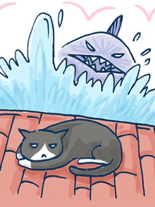 猫和鱼的故事海报