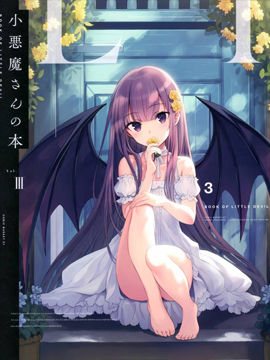 小恶魔少女之书海报