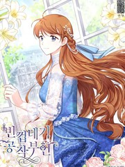 透明的公爵夫人海报