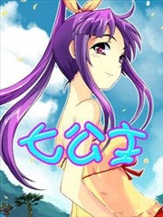 七公主海报