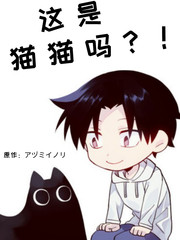 这是猫猫吗？海报