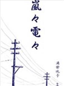 岚岚电电海报