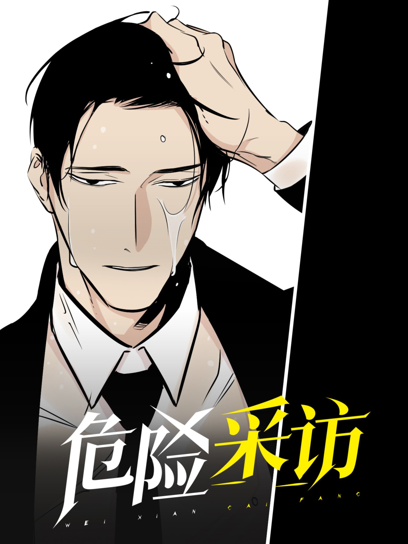 危险采访海报