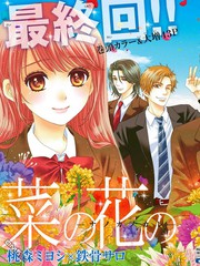 菜乃花的他海报