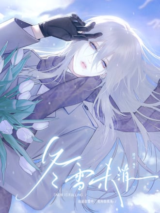 冬雪未消海报