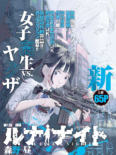 露娜骑士海报