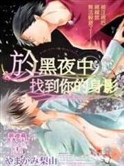 于黑夜中找到你的身影海报