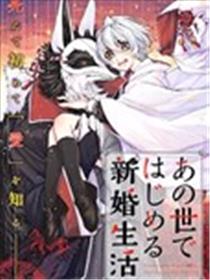 从彼岸开始的新婚生活海报