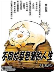 不同于草包猫的人生漫画