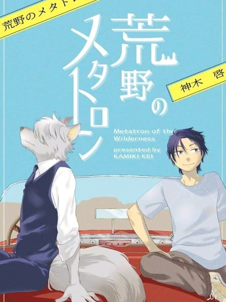 荒野的梅塔特隆海报