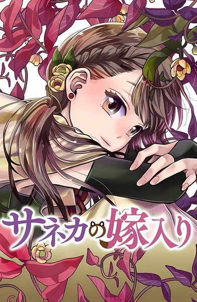 纱音花出嫁了海报