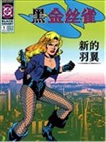 黑金丝雀V1海报