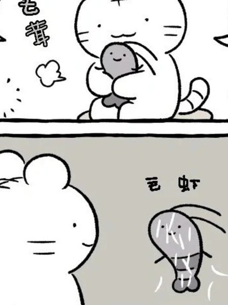 白虎和黑虎海报
