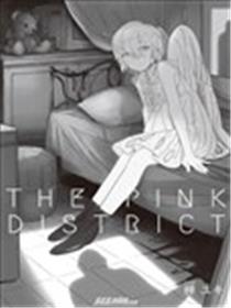 THE PINK DISTRICT漫画