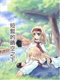 短暂的晴空之下海报