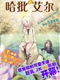 哈批艾尔海报