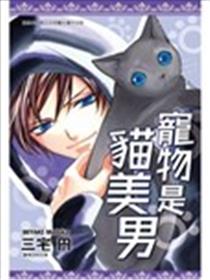宠物是猫美男海报
