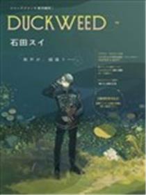 DUCKWEED海报