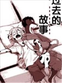 过去的故事海报