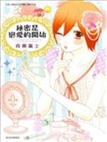 秘密是恋爱的开始海报