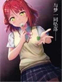 与梦一同坠落海报