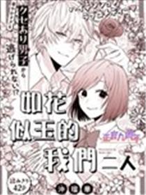 如花似玉的我们二人海报