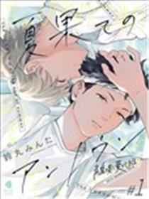 夏末的未知数海报