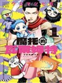 魔托的瓦尔姆特海报