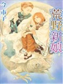 荒野新娘海报
