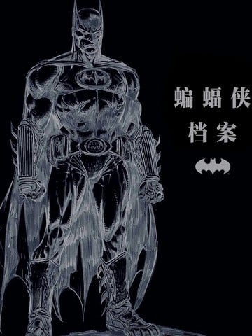 蝙蝠侠档案漫画