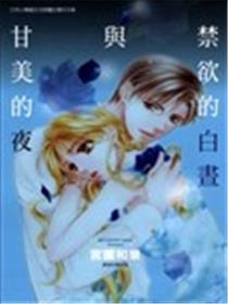 禁欲的白昼与甘美的夜海报