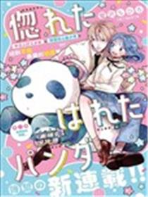恋恋熊猫漫画
