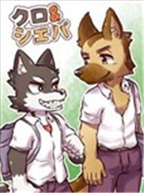 小黑与阿牧海报