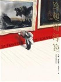 穿越罗浮宫海报