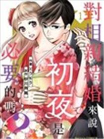对相亲结婚来说初夜是必要的吗？漫画