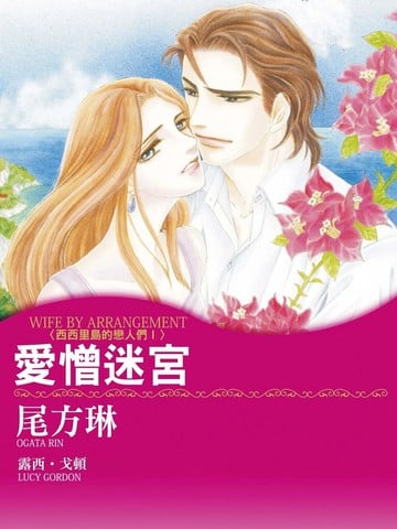 爱憎迷宫漫画