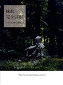 妹红完全详解海报