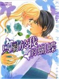只属于我的蝴蝶漫画