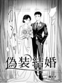 伪装結婚海报