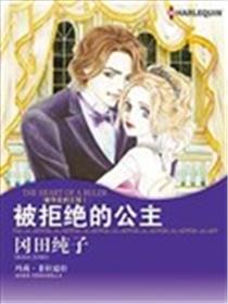 被拒绝的公主海报