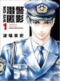 潜警匿影海报