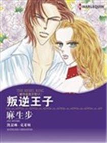 叛逆王子海报