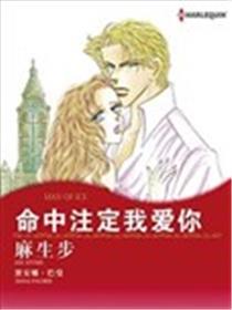 命中注定我爱你海报