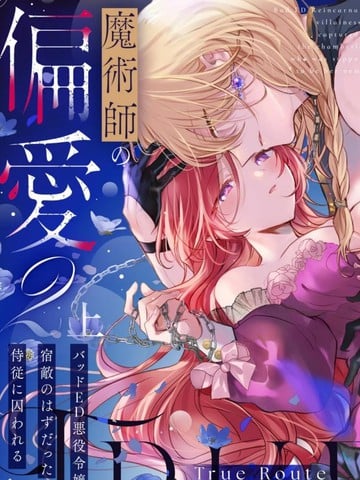 魔法师的偏爱-True Route海报