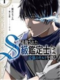 被流放的S级鉴定士，组建了最强公会海报