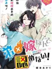 弟弟×老婆什么的决不同意！海报