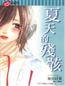 夏天的残骸海报