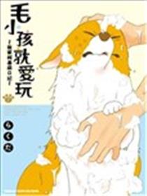 毛小孩就爱玩～我家柯基萌日记漫画