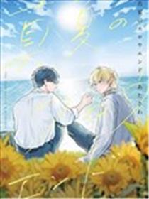 仲夏渐息漫画